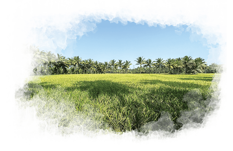 organic farm in kerala